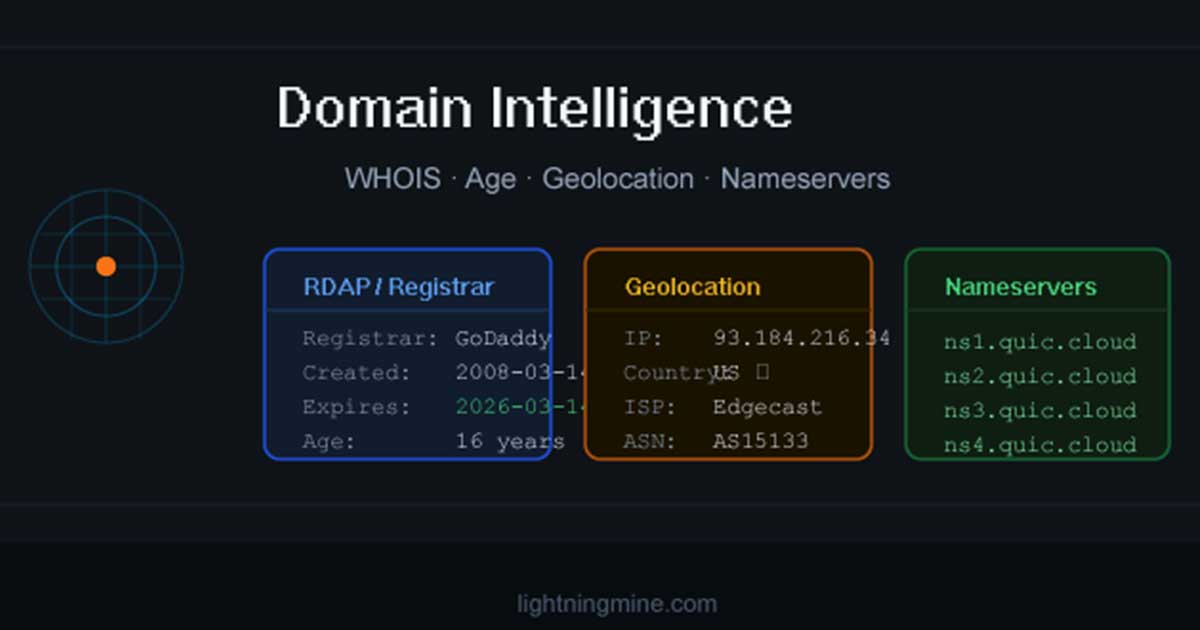 Domain Intelligence Tool