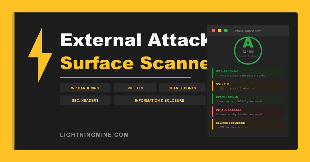 Website External Attack Surface Scanner
